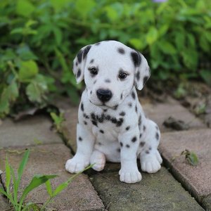 Fundraising Page: Anne Korinek